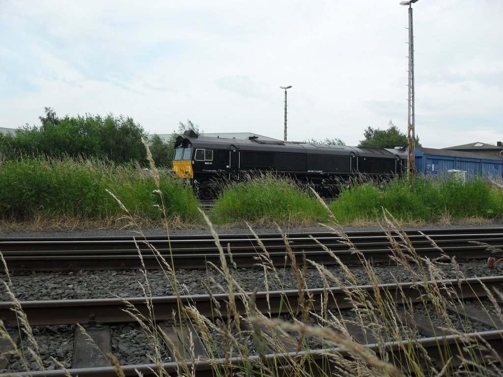 Eine Schwarze Class 66 in Brhl Vochem am 19.6.10