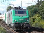 Br.437020 von der SNCF in Bonn-Oberkassel vor einem Kesselwargenzug.